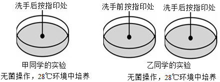 菁優(yōu)網