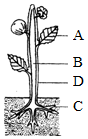 菁優(yōu)網(wǎng)