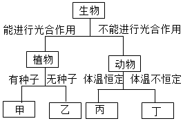 菁優(yōu)網(wǎng)