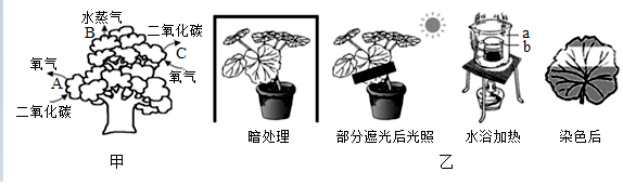 菁優(yōu)網(wǎng)