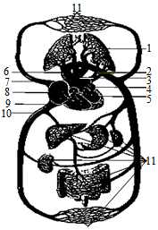 菁優(yōu)網(wǎng)