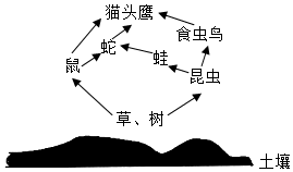 菁優(yōu)網(wǎng)