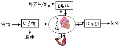 菁優(yōu)網(wǎng)