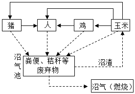 菁優(yōu)網(wǎng)