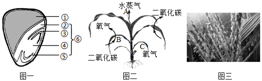 菁優(yōu)網