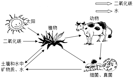 菁優(yōu)網(wǎng)