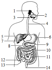 菁優(yōu)網(wǎng)