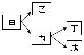 菁優(yōu)網(wǎng)