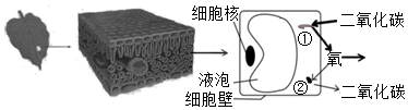 菁優(yōu)網