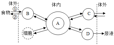 菁優(yōu)網(wǎng)