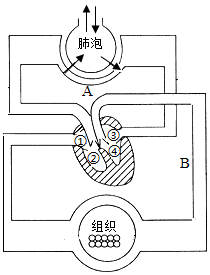 菁優(yōu)網(wǎng)