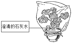 菁優(yōu)網(wǎng)