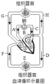 菁優(yōu)網(wǎng)