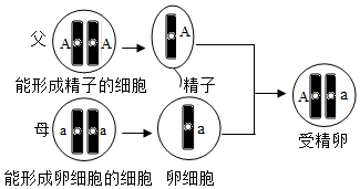 菁優(yōu)網