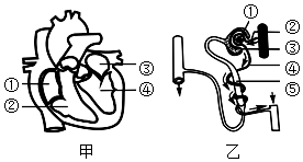 菁優(yōu)網(wǎng)