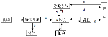 菁優(yōu)網(wǎng)