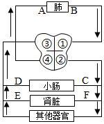 菁優(yōu)網(wǎng)