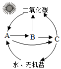 菁優(yōu)網(wǎng)