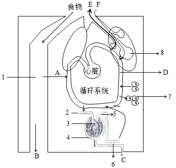 菁優(yōu)網(wǎng)