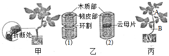 菁優(yōu)網(wǎng)