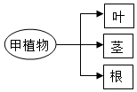 菁優(yōu)網(wǎng)