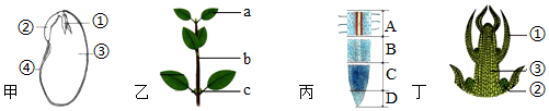 菁優(yōu)網(wǎng)