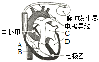 菁優(yōu)網(wǎng)