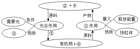 菁優(yōu)網(wǎng)