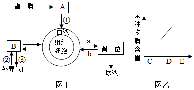 菁優(yōu)網(wǎng)