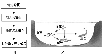 菁優(yōu)網(wǎng)