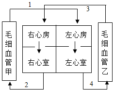 菁優(yōu)網(wǎng)