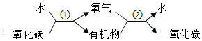 菁優(yōu)網(wǎng)