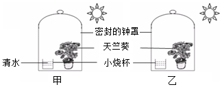 菁優(yōu)網(wǎng)