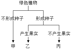 菁優(yōu)網(wǎng)