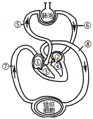 菁優(yōu)網(wǎng)