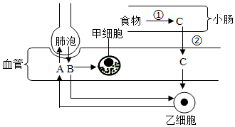 菁優(yōu)網(wǎng)