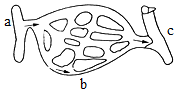 菁優(yōu)網(wǎng)