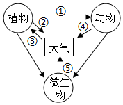 菁優(yōu)網(wǎng)