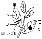 菁優(yōu)網(wǎng)