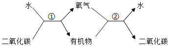 菁優(yōu)網(wǎng)