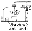 菁優(yōu)網(wǎng)