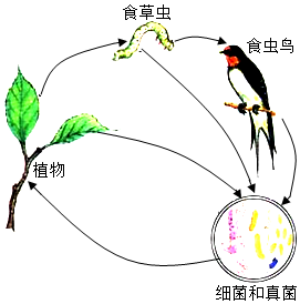 菁優(yōu)網(wǎng)