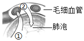 菁優(yōu)網(wǎng)