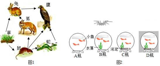 图1是某草原生态系统的食物链食物网,请根据图回答有关问题