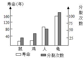 菁優(yōu)網