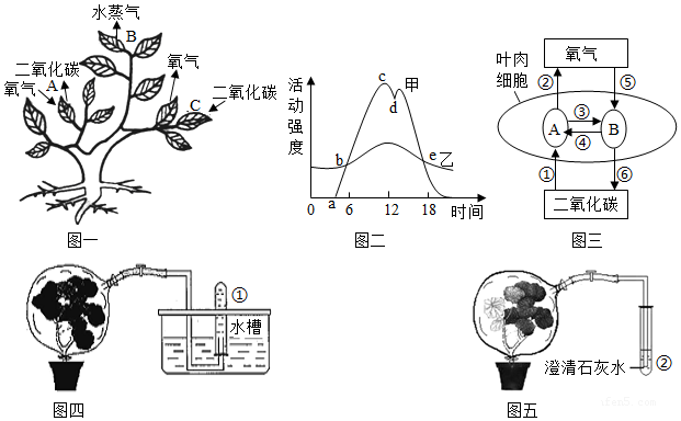 菁優(yōu)網(wǎng)