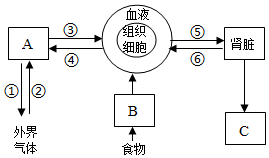 菁優(yōu)網(wǎng)