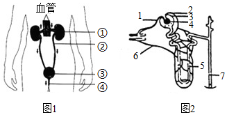 菁優(yōu)網(wǎng)