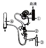 菁優(yōu)網(wǎng)