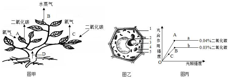 菁優(yōu)網(wǎng)